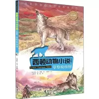 醉染图书草原狼梯图9787544859851