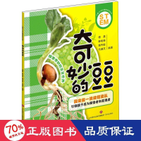 醉染图书奇妙的豆豆9787548843696