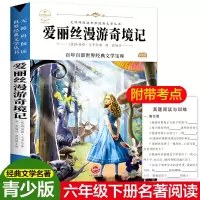 醉染图书爱丽丝漫游奇境记9787547948