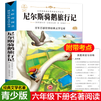 醉染图书尼尔骑鹅旅行记9787547832