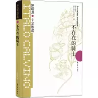 醉染图书不存在的骑士9787544722797