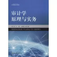 醉染图书审计学原理与实务9787517837343