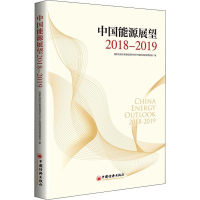 醉染图书中国能源展望2018-20199787513654326