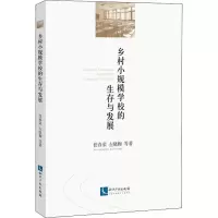 醉染图书乡村小规模学校的生存与发展9787513063500