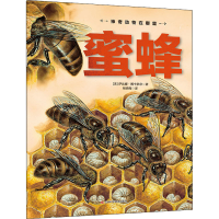 醉染图书蜜蜂9787557878214