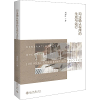 醉染图书司法确认程序的生成与运行9787301304839