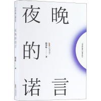 醉染图书夜晚的诺言9787539661124