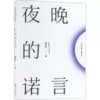 醉染图书夜晚的诺言9787539661124