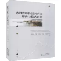 醉染图书我国战略新兴产业评价与模式研究9787521805109