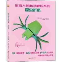 醉染图书折纸大师心灵解压系列 昆虫折纸9787540871833
