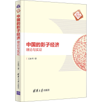 醉染图书中国的影子经济 理论与实9787302579441