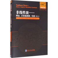 醉染图书非线波——理论、计算机模拟、实验97875603954