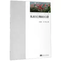 醉染图书从村庄到村庄群9787564184629