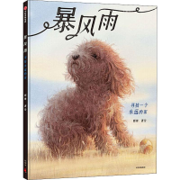 醉染图书暴风雨 寻找一个永远的家9787521710946