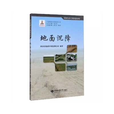 醉染图书地面沉降9787562547129