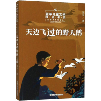 醉染图书天边飞过的野天鹅9787534292705
