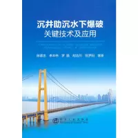 醉染图书沉井沉水下爆破关键技术及应用9787502487041