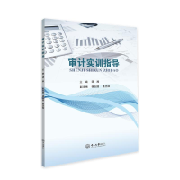 醉染图书审计实训指导/谭湘9787306070517