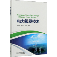 醉染图书电力视觉技术978751459