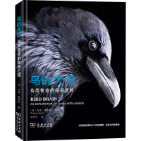 醉染图书鸟的大脑 鸟类智商的探秘之旅9787100188517