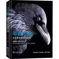 醉染图书鸟的大脑 鸟类智商的探秘之旅9787100188517