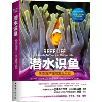 醉染图书潜水识鱼 热带海洋生物发现之旅9787571402501