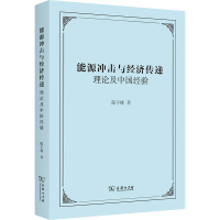 醉染图书能源冲击与经济传递 理论及中国经验9787100204026