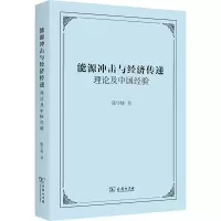 醉染图书能源冲击与经济传递 理论及中国经验9787100204026