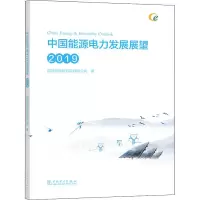 醉染图书中国能源电力发展展望 20199787519832155