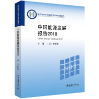 醉染图书2018中国能源发展报告9787301304037