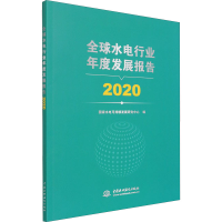 醉染图书全球水电行业年度发展报告 20209787517096054