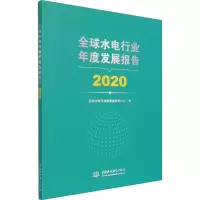 醉染图书全球水电行业年度发展报告 20209787517096054