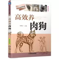 醉染图书高效养肉狗9787111526742