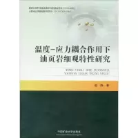 醉染图书温度-应力耦合作用下油页岩细观特研究9787564644970