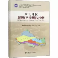 醉染图书西北地区重要矿产资源潜力分析9787562544098