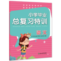 醉染图书小学总复习特训 语文9787572215315