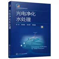 醉染图书太阳能利用前沿技术丛书--光电净化水处理9787125444