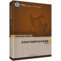 醉染图书非洲油气勘探开发形势图集9787030632098
