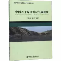 醉染图书中国若干煤区煤层气藏地质97875625408