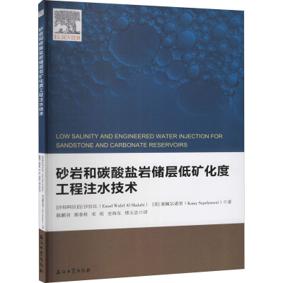 醉染图书砂岩和碳酸盐岩储层低矿化度工程注水技术9787518332748