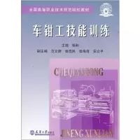 醉染图书车钳工技能训练/职业高师9787561813553
