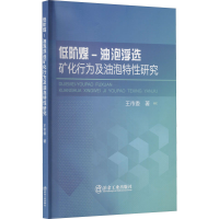 醉染图书低阶煤-油泡浮选矿化行为及油泡特研究9787502488284