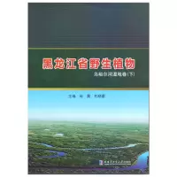 醉染图书黑龙江省野生植物乌裕尔河湿地卷.下9787560395326