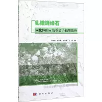 醉染图书钆锆烧绿石固化体的α及重离子辐照效应9787030641496