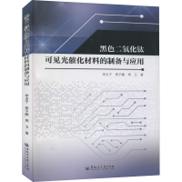 醉染图书黑色二氧化钛可见光催化材料的制备与应用9787568604642