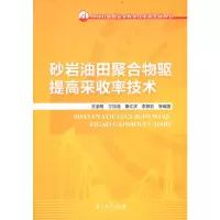 醉染图书砂岩油田聚合物驱提高采收率技术9787518351442