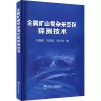 醉染图书金属矿山复杂采空区探测技术9787502490171
