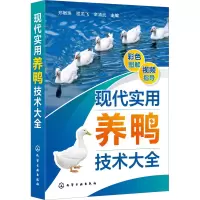 醉染图书现代实用养鸭技术大全9787122408174