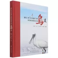 醉染图书浙江省玉环漩门湾湿地公园鸟类(精)9787521913347