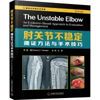 醉染图书肘关节不稳定 循方与手技巧9787504688033